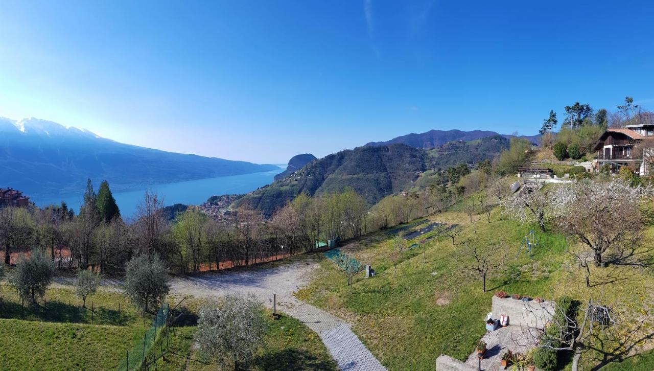 Teresa Campi Apartments Lake View By Gardadomusmea Tremosine Exteriör bild
